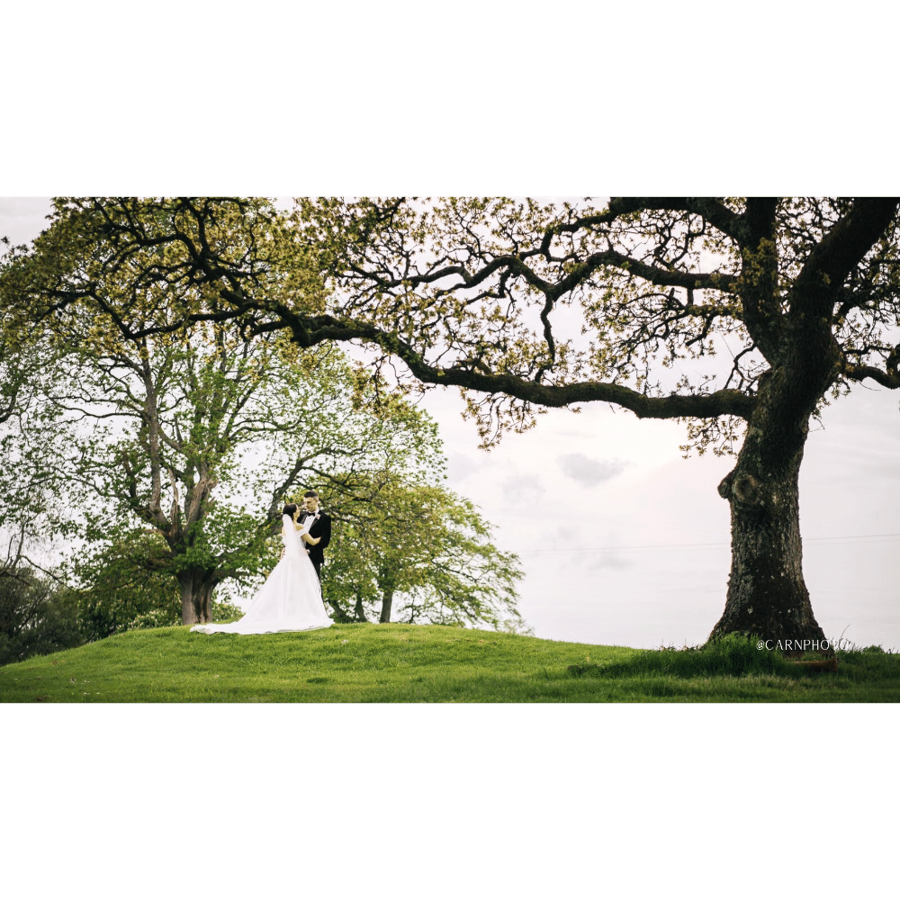Bride and groom embracing under large trees in a grassy field.