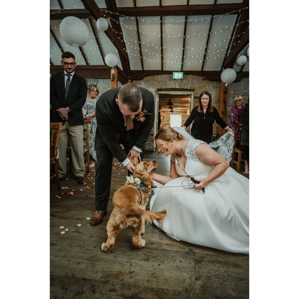 Bride and groom crouching to pet their dog at a wedding ceremony indoors.