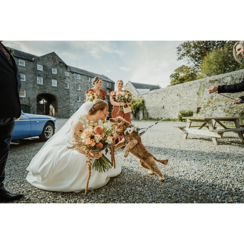 Bride with bouquet kneeling to greet a flower-adorned dog, bridesmaids in matching dresses nearby, outdoor brick courtyard setting.
