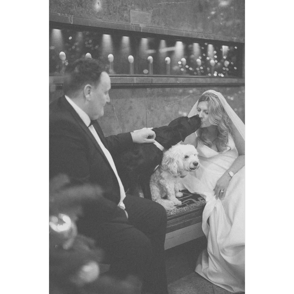 Bride and groom on a bench with two dogs, one dog kissing the bride.