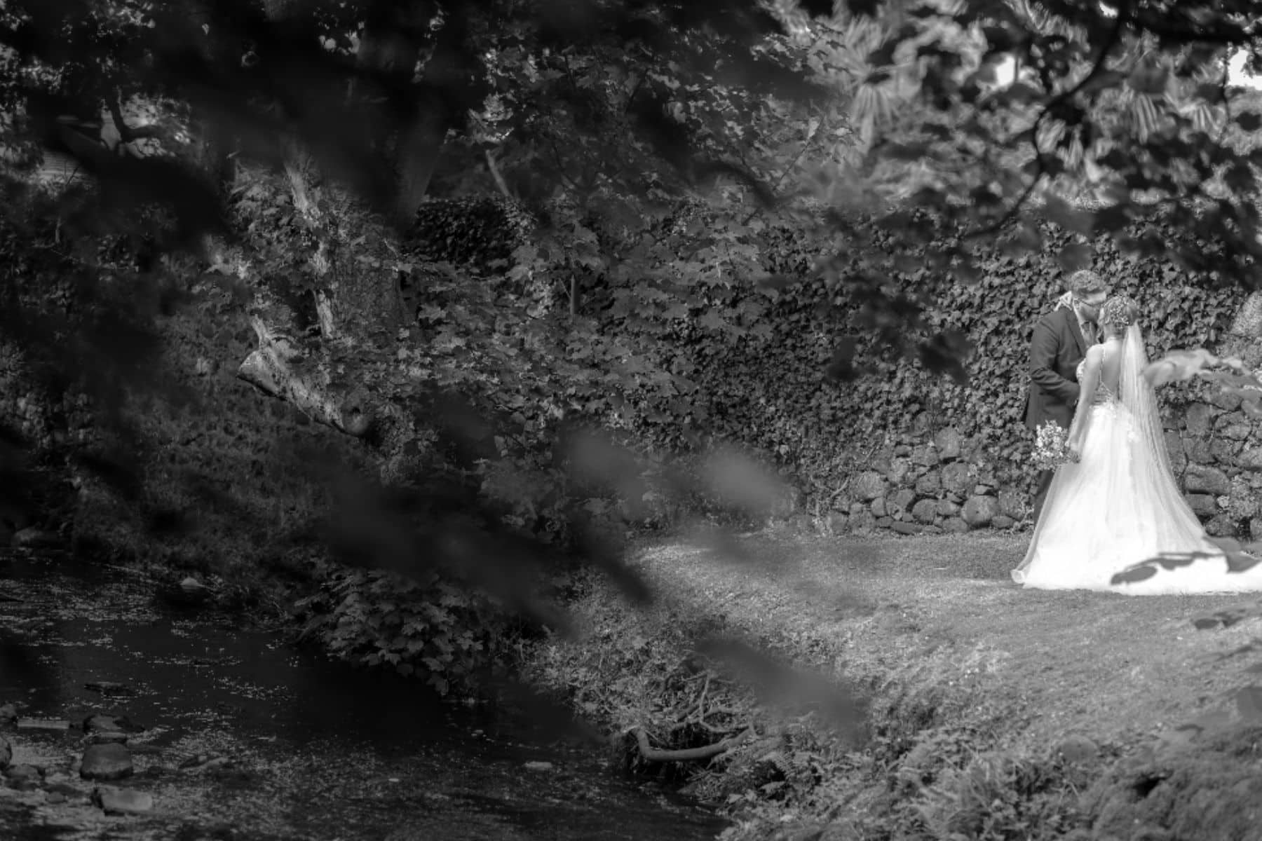 Bride and groom kiss near a stream in a forest, surrounded by trees and greenery.