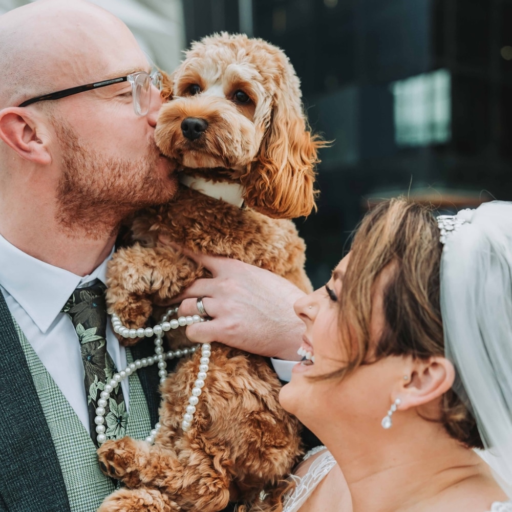 Bride and groom holding and kissing a small, fluffy dog adorned with pearls.
