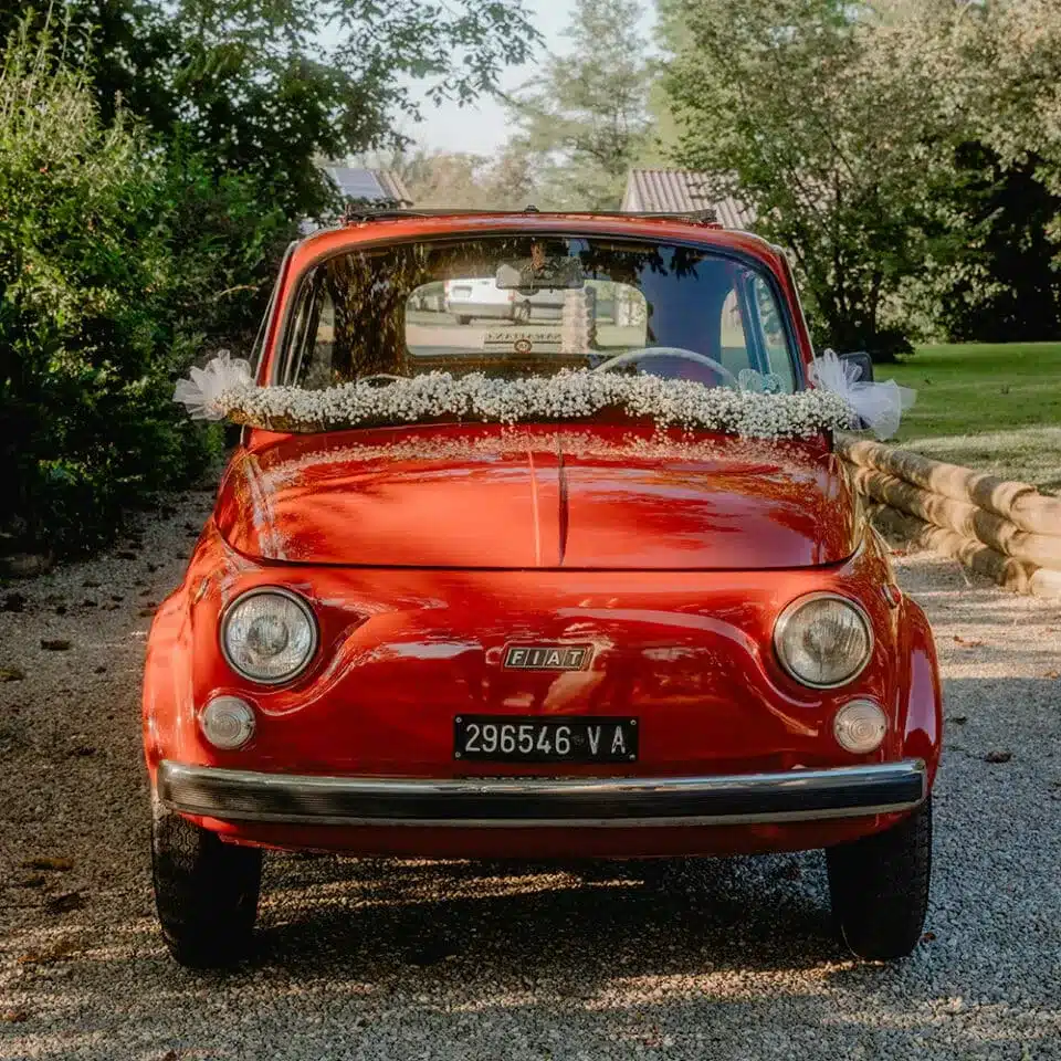 Cars & Coaches