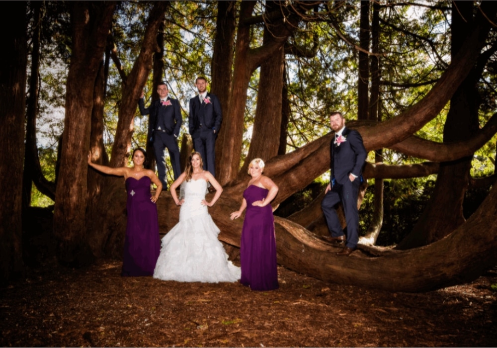 Wedding party posing in a forest, with bridesmaids in purple dresses and groomsmen in suits standing on tree branches.
