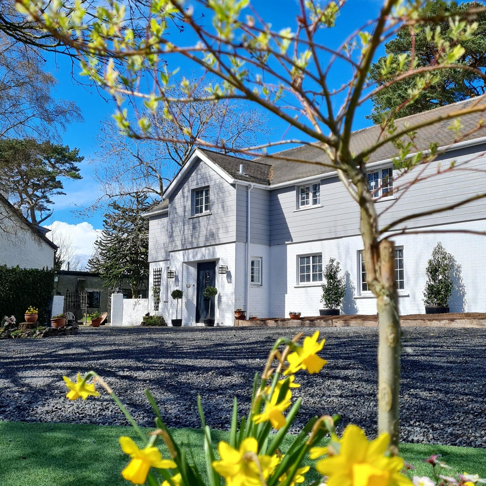 Two-story gray and white house with spring flowers and trees in foreground under a clear blue sky.