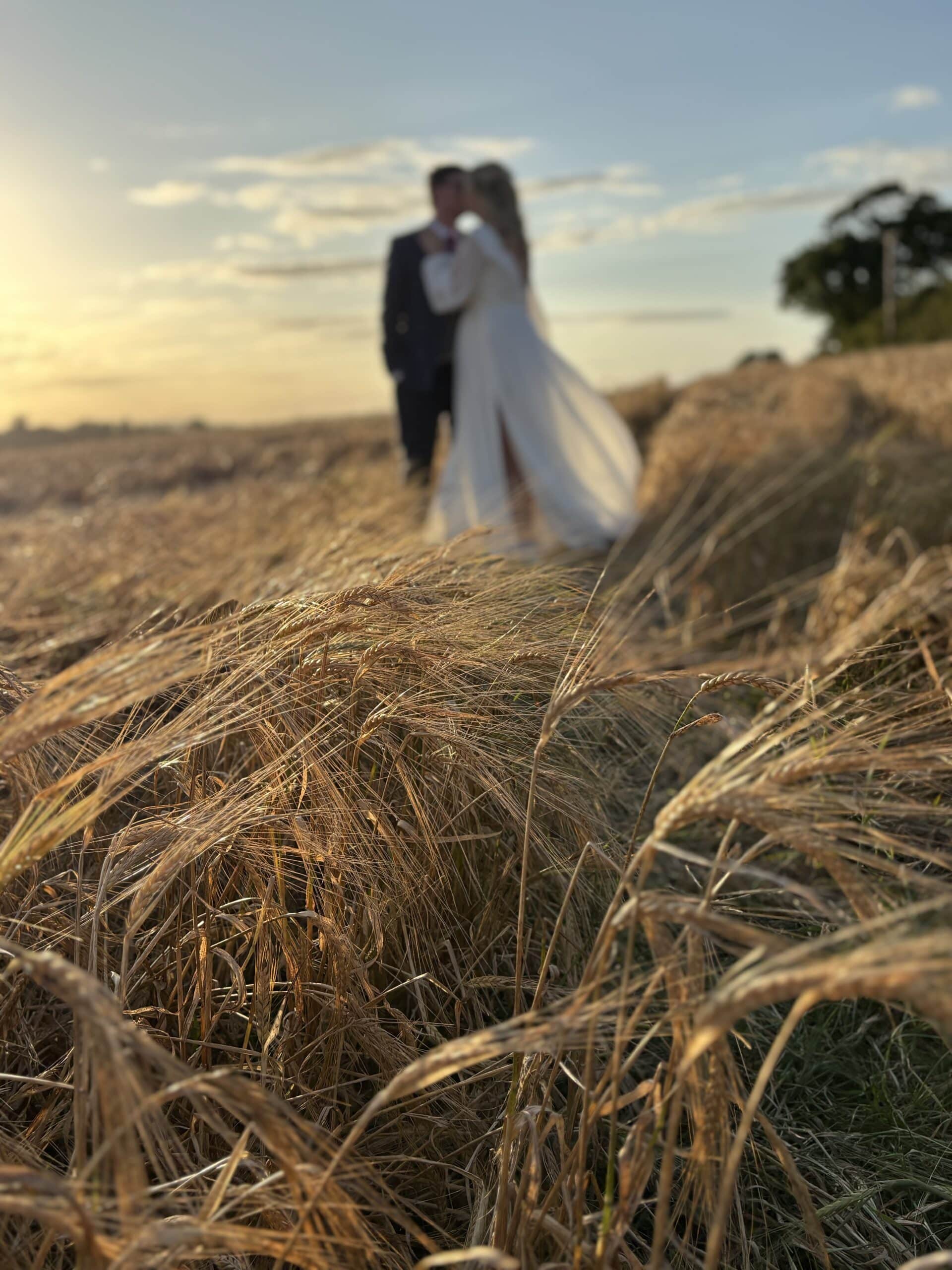 Couple embracing in a golden wheat field at sunset.