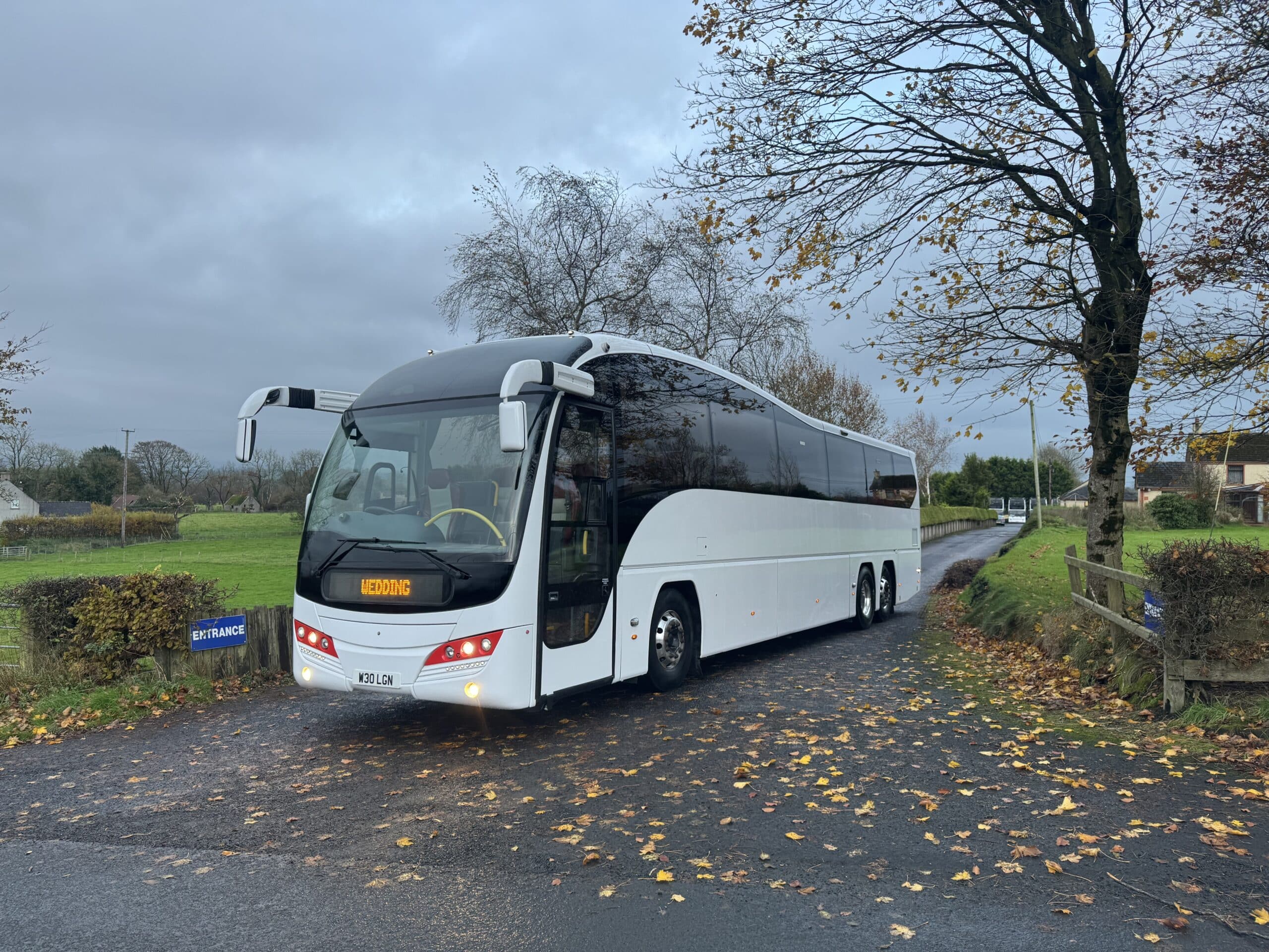White bus with "Wedding" sign driving on a tree-lined country road, surrounded by autumn leaves.