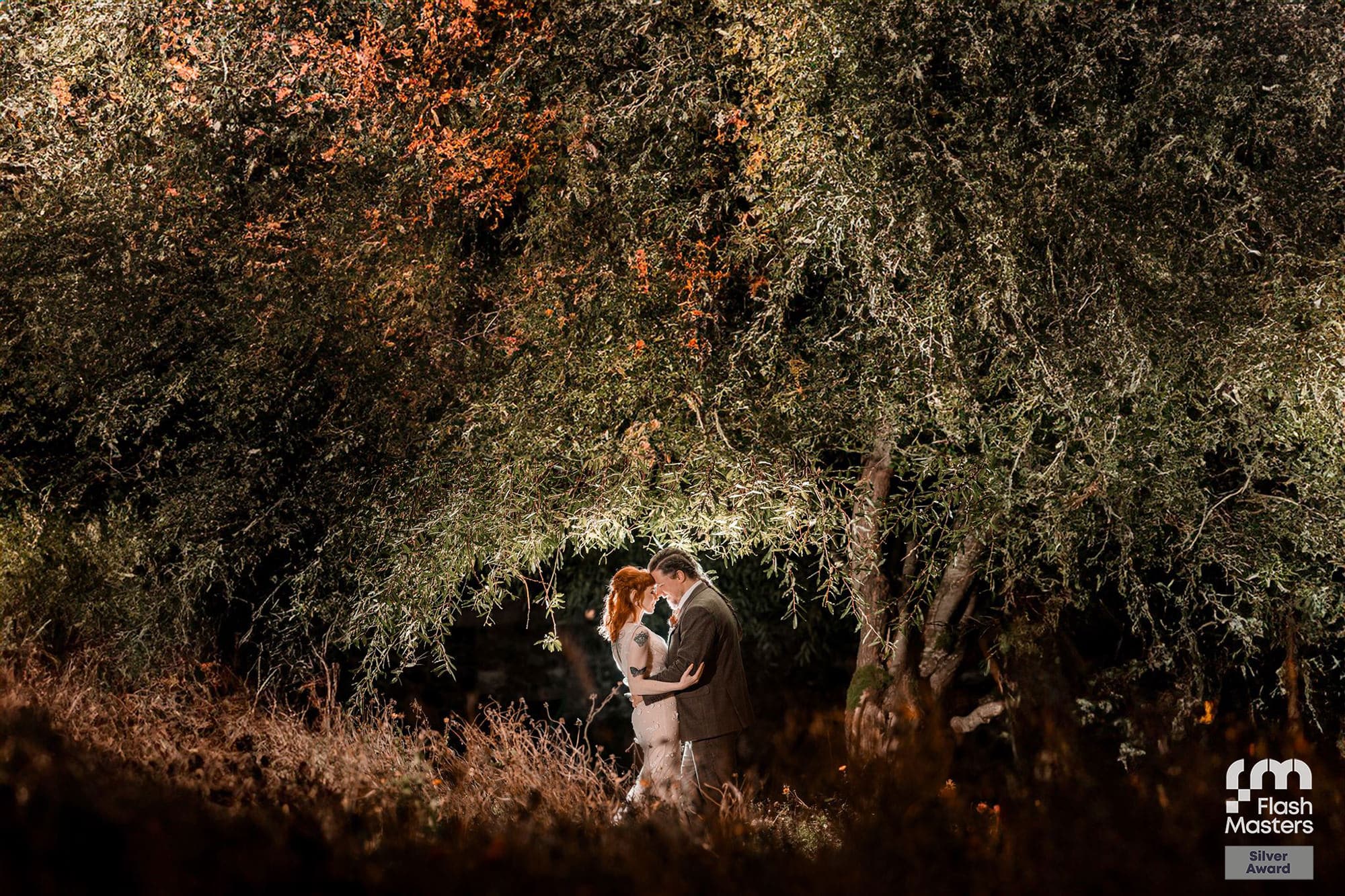A couple embracing under illuminated trees at night, surrounded by foliage.